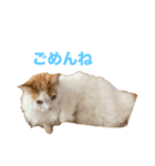 らすくまる（個別スタンプ：3）