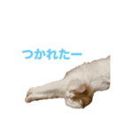 らすくまる（個別スタンプ：5）