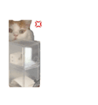 らすくまる（個別スタンプ：8）