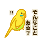 黄色い鳥セキセイインコスタンプ（個別スタンプ：1）