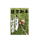 1日あいさつ わんこ2（個別スタンプ：1）