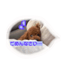 1日あいさつ わんこ2（個別スタンプ：2）