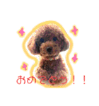 1日あいさつ わんこ2（個別スタンプ：6）