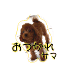 1日あいさつ わんこ2（個別スタンプ：11）