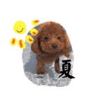 1日あいさつ わんこ2（個別スタンプ：14）