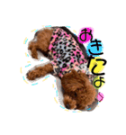 1日あいさつ わんこ2（個別スタンプ：20）