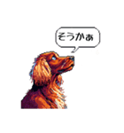 ⚫アイリッシュ・セッター ［ドット絵］（個別スタンプ：19）