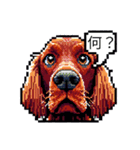 ⚫アイリッシュ・セッター ［ドット絵］（個別スタンプ：21）