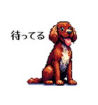 ⚫アイリッシュ・セッター ［ドット絵］（個別スタンプ：23）