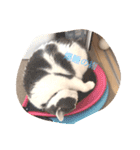 ひなもな毎日スタンプ（個別スタンプ：6）