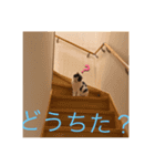 ひなもな毎日スタンプ（個別スタンプ：15）