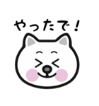 関西弁の白猫スタンプ（個別スタンプ：9）
