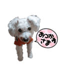 ラブ＆こた＆ちく（個別スタンプ：1）