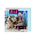 りん☆everyday6（個別スタンプ：1）