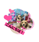 りん☆everyday6（個別スタンプ：2）