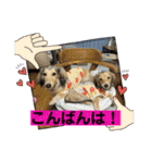 りん☆everyday6（個別スタンプ：3）
