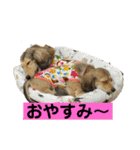 りん☆everyday6（個別スタンプ：4）
