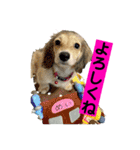 りん☆everyday6（個別スタンプ：9）