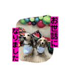りん☆everyday6（個別スタンプ：14）