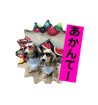 りん☆everyday6（個別スタンプ：17）