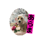 りん☆everyday6（個別スタンプ：22）