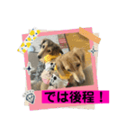 りん☆everyday6（個別スタンプ：28）