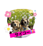 りん☆everyday6（個別スタンプ：32）