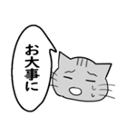 ひと言伝えるふきだしネコ 10（個別スタンプ：5）