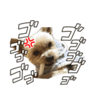 りんくとかいじスタンプ（個別スタンプ：1）