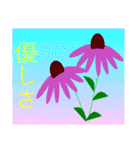 色々な花言葉（個別スタンプ：20）