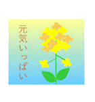 色々な花言葉（個別スタンプ：35）