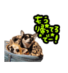 NIKE♡PUMA 7（個別スタンプ：10）