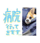 NIKE♡PUMA 7（個別スタンプ：19）