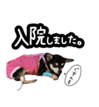 NIKE♡PUMA 7（個別スタンプ：20）
