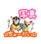 NIKE♡PUMA 7（個別スタンプ：23）