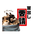 NIKE♡PUMA 7（個別スタンプ：24）