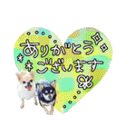 NIKE♡PUMA 7（個別スタンプ：31）