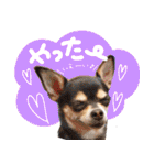 NIKE♡PUMA 7（個別スタンプ：33）