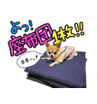NIKE♡PUMA 7（個別スタンプ：39）