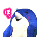 ドラマ「ゆるい」のマメゾフ2（個別スタンプ：24）