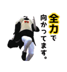 ドラマ「ゆるい」のマメゾフ2（個別スタンプ：27）