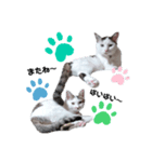 ラブ＆こたろう＆ちくわ（個別スタンプ：5）