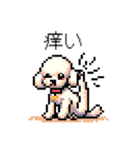 ⚫トイプードル ［ドット絵］（個別スタンプ：14）