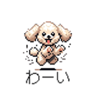 ⚫トイプードル ［ドット絵］（個別スタンプ：16）