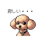 ⚫トイプードル ［ドット絵］（個別スタンプ：30）