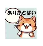 博多猫の日常（個別スタンプ：1）