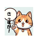 博多猫の日常（個別スタンプ：12）