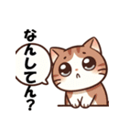 博多猫の日常（個別スタンプ：16）