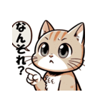 博多猫の日常（個別スタンプ：17）