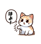 博多猫の日常（個別スタンプ：20）